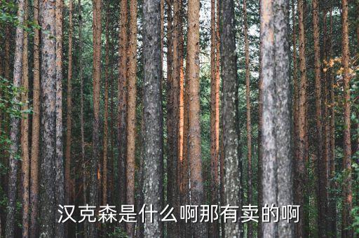 漢克森，漢克森是什么