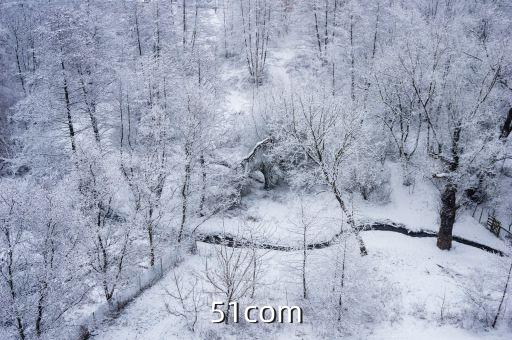51com
