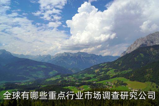 世界知名大數(shù)據(jù)公司,國內有哪些大數(shù)據(jù)公司