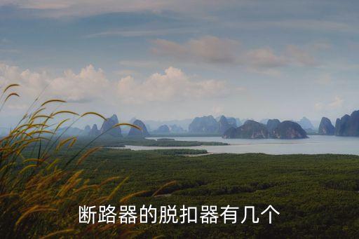 脫扣斷路器，斷路器的脫扣器有幾個(gè)