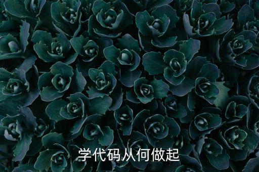 學代碼從何做起