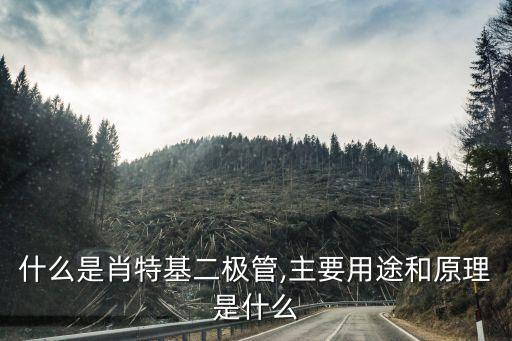 二極管的作用和工作原理,三極管工作原理和作用