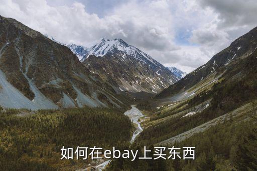ebay網(wǎng)站,關(guān)于ebay和ebay之別的注意事項(xiàng)
