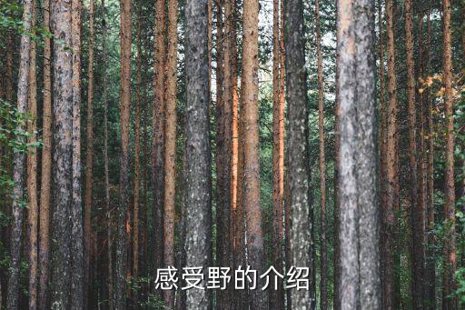 感受野，關(guān)于心理學(xué)中視覺感受野的一個(gè)實(shí)際問題