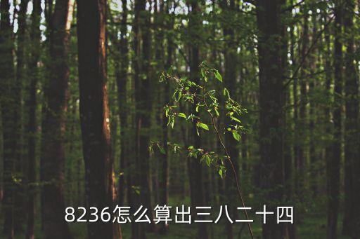 8236怎么算出三八二十四