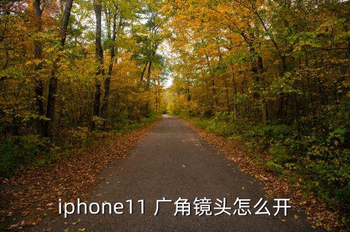 iphone11 廣角鏡頭怎么開
