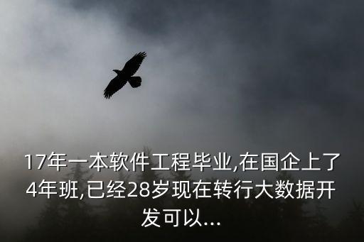 17年一本軟件工程畢業(yè),在國(guó)企上了4年班,已經(jīng)28歲現(xiàn)在轉(zhuǎn)行大數(shù)據(jù)開(kāi)發(fā)可以...