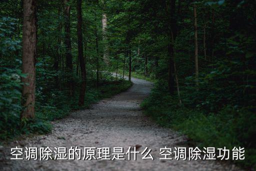 空調(diào)除濕的原理是什么 空調(diào)除濕功能