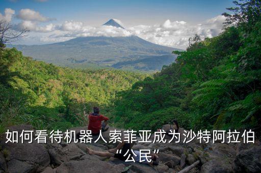 授予公民身份的機器人,首個擁有公民身份機器人索菲婭獲國籍