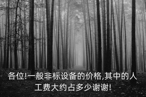 各位!一般非標(biāo)設(shè)備的價(jià)格,其中的人工費(fèi)大約占多少謝謝!