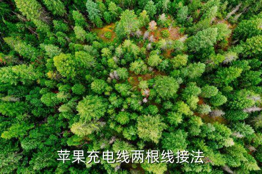 蘋(píng)果數(shù)據(jù)線(xiàn)纏繞方法,蘋(píng)果數(shù)據(jù)線(xiàn)開(kāi)裂怎么辦?三個(gè)小辦法解決