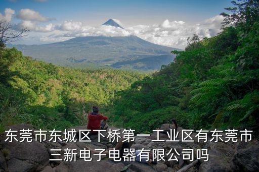 東莞市東城區(qū)下橋第一工業(yè)區(qū)有東莞市三新電子電器有限公司嗎