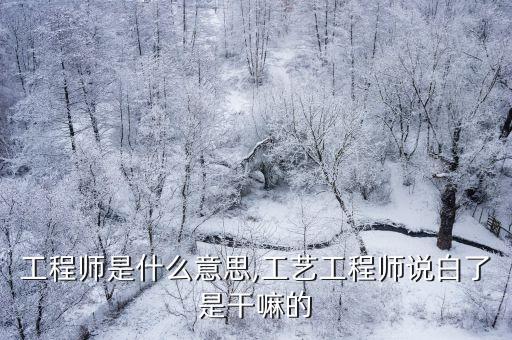 pe工程師是什么意思,工藝工程師說白了是干嘛的