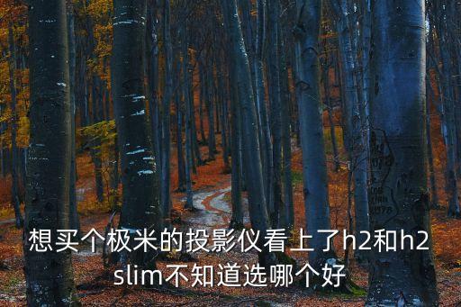 想買個極米的投影儀看上了h2和h2slim不知道選哪個好