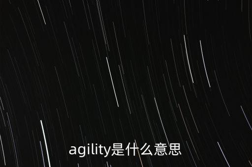 agility是什么意思