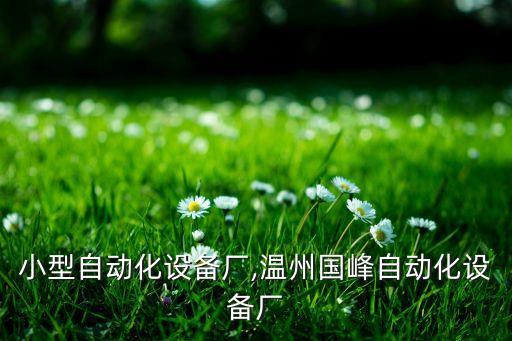 溫州小型自動化設備廠,溫州國峰自動化設備廠