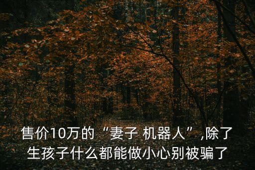 中國機(jī)器人佳佳會(huì)走嗎