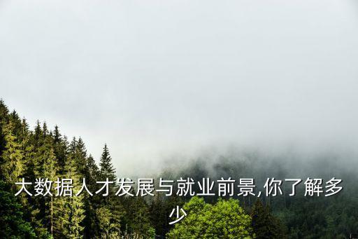 大數(shù)據(jù)挖掘需要的人員,大數(shù)據(jù)開發(fā)部門需要什么人?