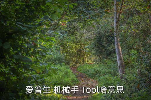 愛普生 機(jī)械手 Tool啥意思