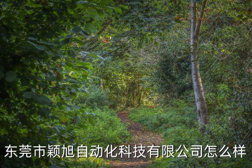 東莞市穎旭自動(dòng)化科技有限公司怎么樣