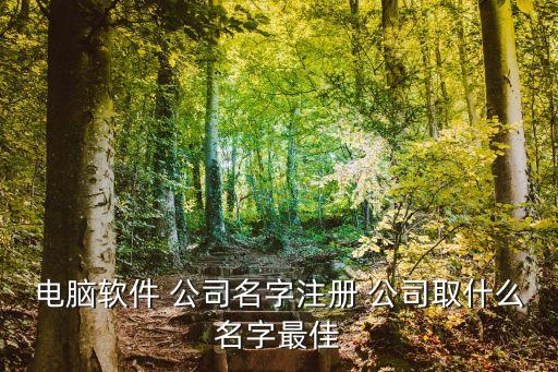 電腦軟件 公司名字注冊(cè) 公司取什么名字最佳