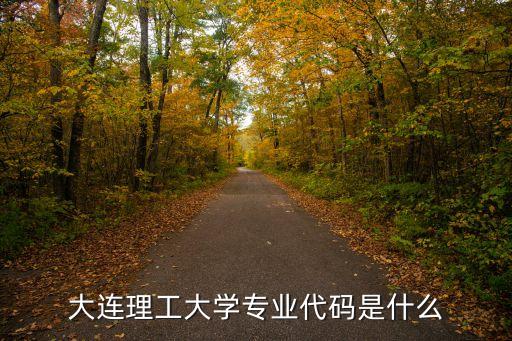 大連理工大學(xué)專業(yè)代碼是什么