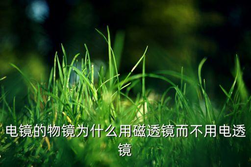 電鏡的物鏡為什么用磁透鏡而不用電透鏡