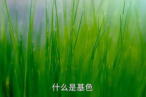 什么是基色