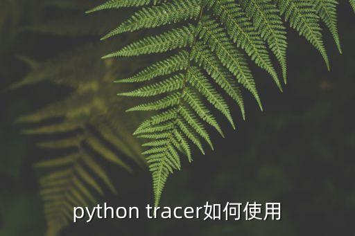 python tracer如何使用