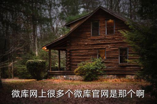 微庫(kù)網(wǎng)上很多個(gè)微庫(kù)官網(wǎng)是那個(gè)啊