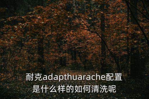耐克adapthuarache配置是什么樣的如何清洗呢