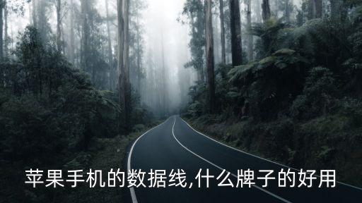 蘋果手機的數(shù)據(jù)線,什么牌子的好用