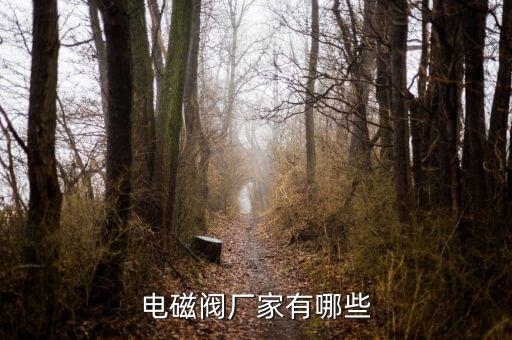 電磁閥廠家有哪些