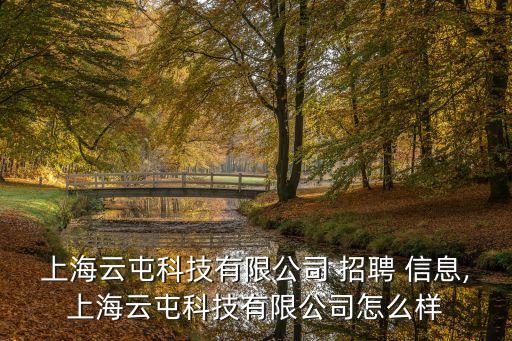 上海云屯科技有限公司 招聘 信息,上海云屯科技有限公司怎么樣