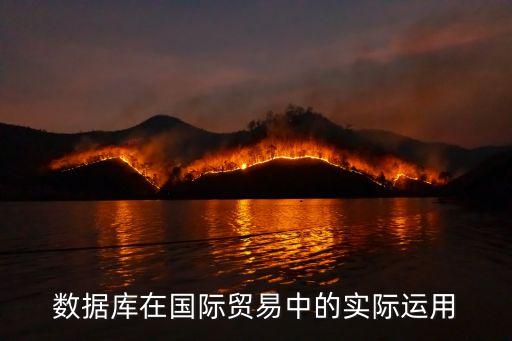 數(shù)據(jù)庫在國際貿(mào)易中的實際運用