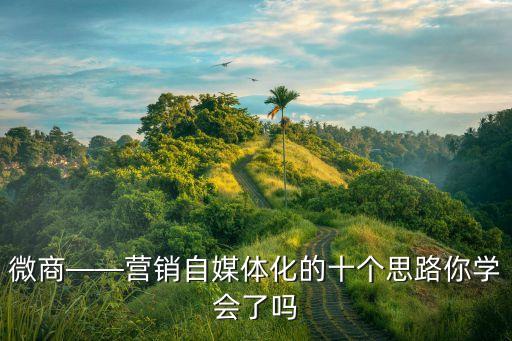 微商痛點(diǎn)大數(shù)據(jù),微商怎么做?可選擇成本較低推廣渠道