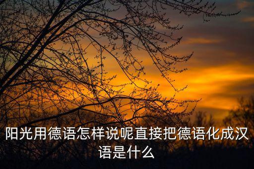 陽光用德語怎樣說呢直接把德語化成漢語是什么