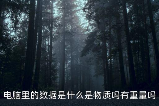 電腦里的數(shù)據(jù)是什么是物質(zhì)嗎有重量嗎