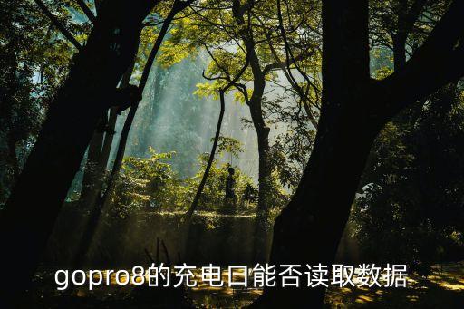 gopro8的充電口能否讀取數(shù)據(jù)