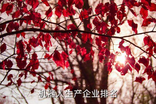 機器人生產(chǎn)企業(yè)排名