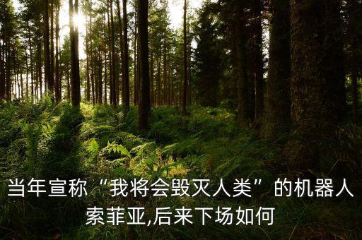 當(dāng)年宣稱“我將會毀滅人類”的機(jī)器人索菲亞,后來下場如何