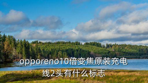 opporeno10倍變焦原裝充電線2頭有什么標志