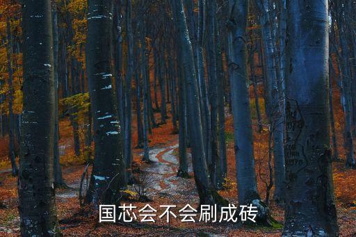 國(guó)芯會(huì)不會(huì)刷成磚