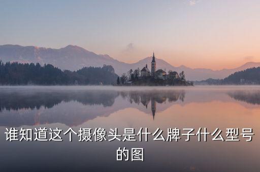 誰知道這個(gè)攝像頭是什么牌子什么型號的圖