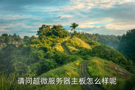 超微主板，Supermicro 美超微 是個(gè)什么主板