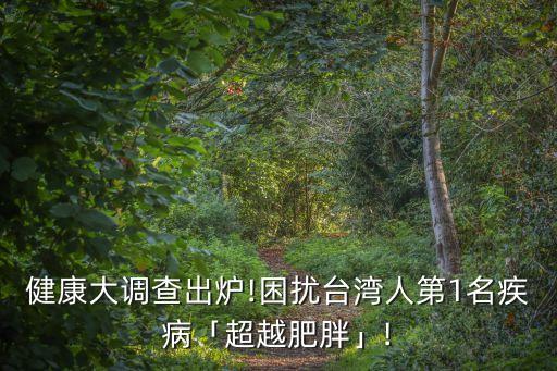 德鳴大數(shù)據(jù),健康大調(diào)查出爐:臺(tái)灣人第一名疾病是超越肥胖