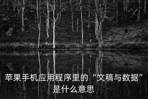 蘋果手機應(yīng)用程序里的“文稿與數(shù)據(jù)”是什么意思