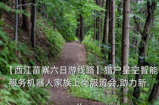 北京獵豹機(jī)器人多少錢,獵豹cs10怎么選?看這里!
