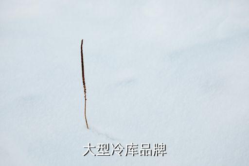 大型冷庫品牌