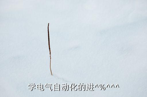 學(xué)電氣自動化的進^%^^^